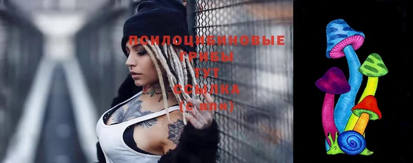 твердый Алексеевка
