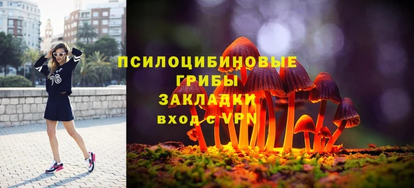 твердый Алексеевка