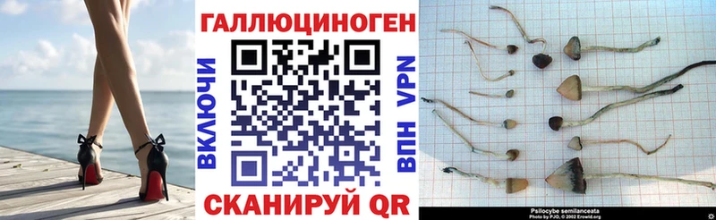 Галлюциногенные грибы Magic Shrooms  Петров Вал 